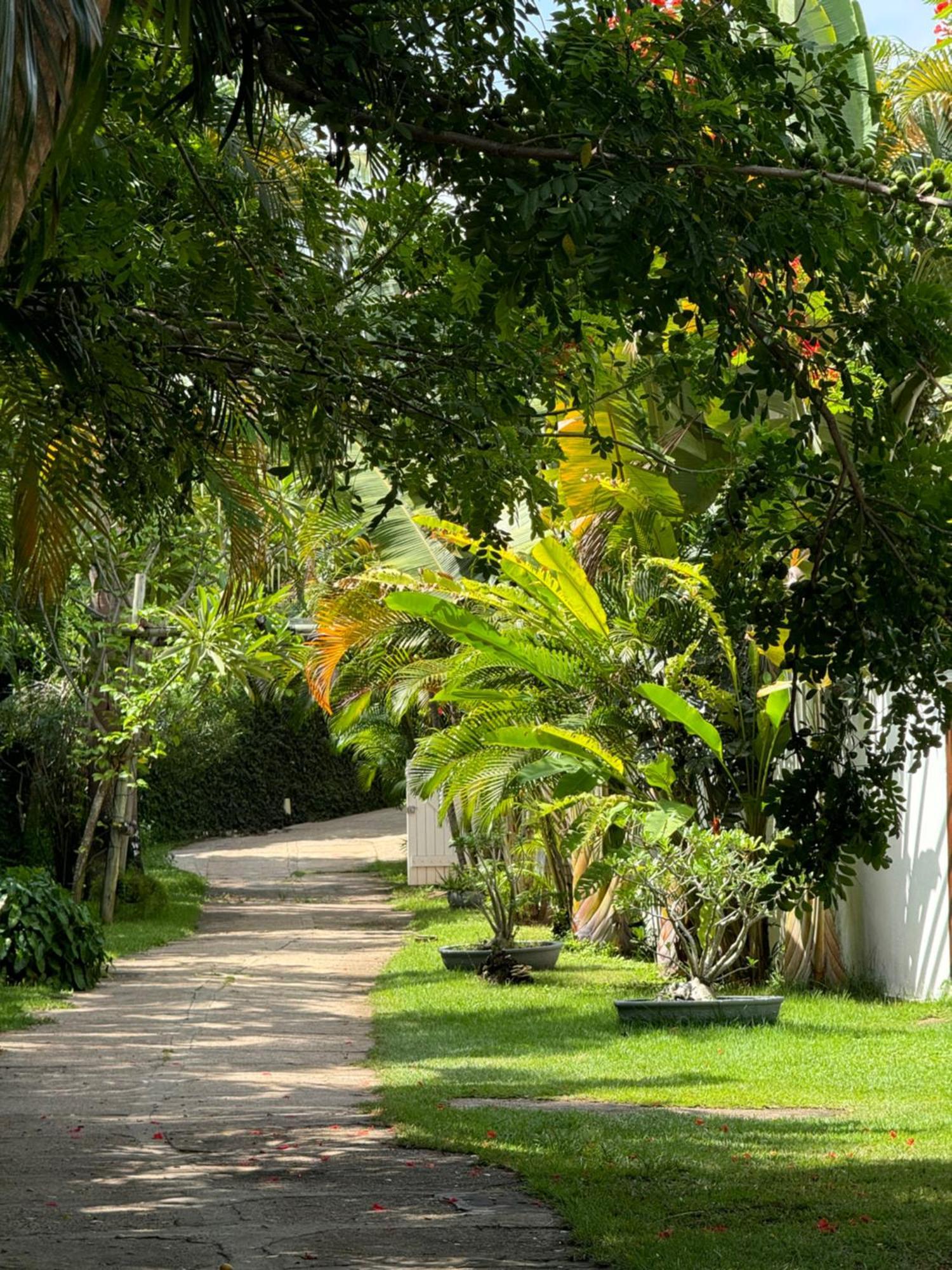 La Reserve Tropicana